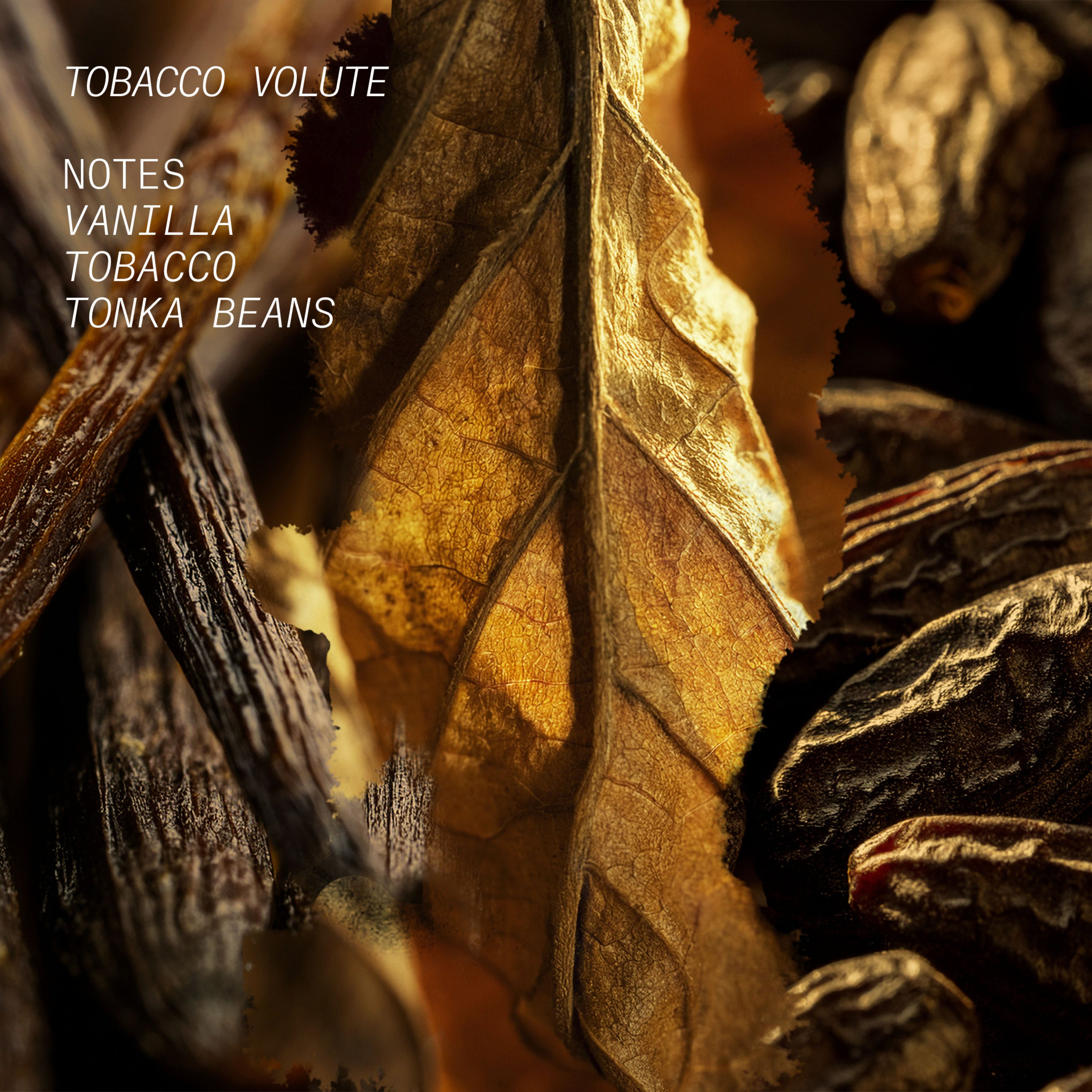 TOBACCO VOLUTE HAIR MIST