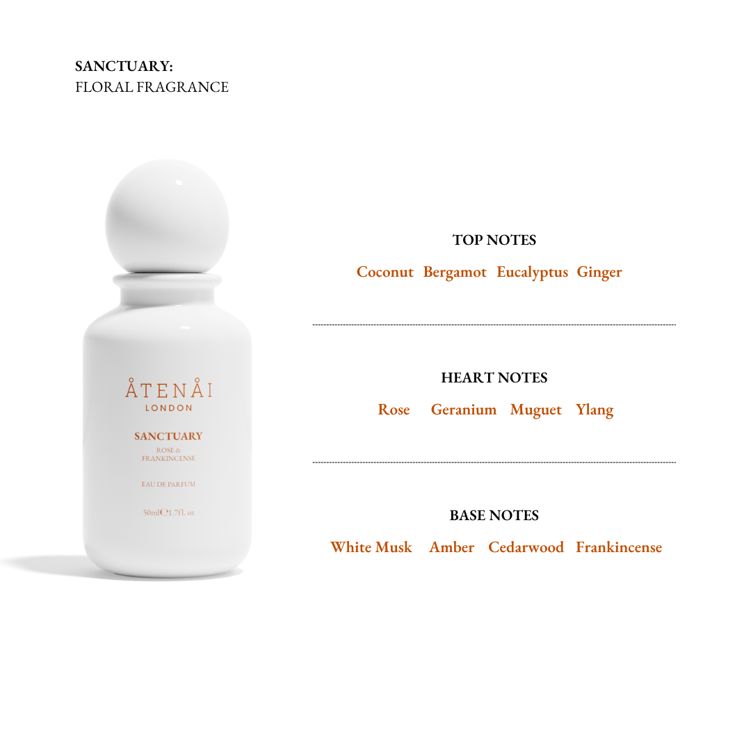 Perfume & Hands Duo Set - Hand Cream